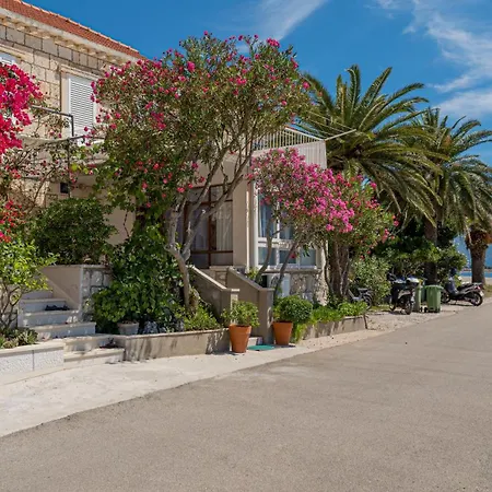 Oleander House *